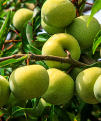 �ļ��޶�ˮ����ɽ������ѳ�����������������