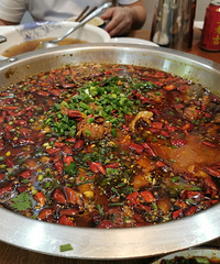 ���ڵ���ͤ���������зʳ��𣿲����������ĺó�