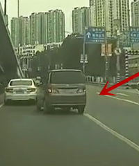 ���������ʵ�߱���������Ÿ�ײ��