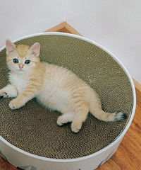 �лῴ�𽥲�Ʒ������ϴη��������˽��ٽ��㣬�������ò���