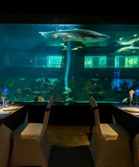 ����ȥ�ϰݣ��������˾�100������ں�����������㹲������