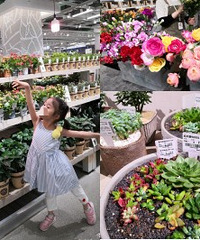 不用去花市,这家店比花市还便宜