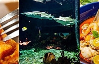 �ڸ߱Ƹ�ĺ�����������Ͳͣ����ܺ��������ܽӴ�