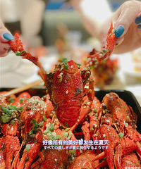 �������С��Ϻ�������Q������˵�人�ܵ�������ų���