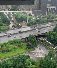 ���ǳ˷����˵�һ�죬�Ƹ��������ڻ�������������