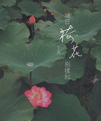 Ҷ̣ӳպɻ죬ѵĺɻĳ̫