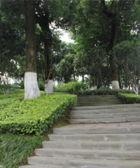 ĩȥ˻ƺ԰Ļֱˡ2020