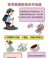 预防登革热!江苏句容出现1例登革热病例