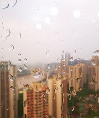 ��̺귫������ѧ����