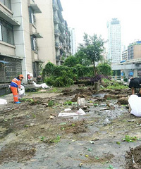 ��ɱ�ҵļ���������ķ࣬�Ĺ���������������𵴣�С��һ����