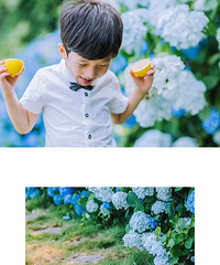 ���˴�Ƭ����ǽ���λ���ϵС���·�����