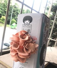 在网上买的DIY平菇长出来了,就想问问粉色平菇能吃吗?