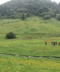 全家游金佛山,528住亲子套房还包3餐好划算