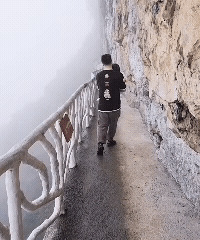 ��ȫ��ˣ���ɽ��ս����ջ����528Ԫס�����׷�������һ��3��