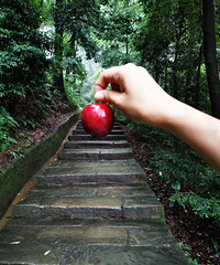 ȥһŸո޸ɽɫûˣĺ