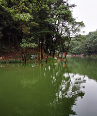 ȥһŸո޸ɽɫûˣĺ