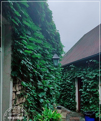 1Сʱ͵ʽׯ԰ܰͺͳԳóԵտ