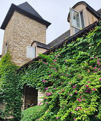 1Сʱ�͵���������ʽׯ԰���ܰ����ͺͳԳ��óԵ������տ�