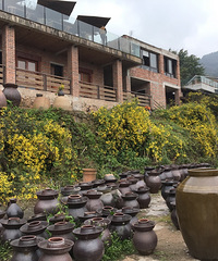 6Ҳڻɽ꣬羰û˹ؼˣ