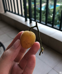 ���ˮ�����˳Թ���ζ������֡���