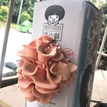 粉色的平菇能吃吗?