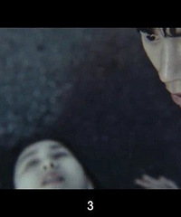 ͼ���³��ĺ����ֲ�Ƭ�������ߡ�