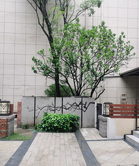 ͥԺ130ƽԼˬµҵ