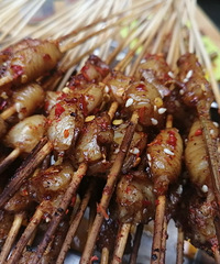 �������ͨ��ţ�⴮�ʶ����壬��Ȼ�۸�С����ζ��ȷʵ����