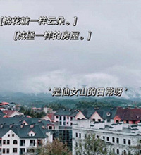 仙女山避暑,发现个卖土鸡的好地方,鸡蛋都是鸡窝里现捡的