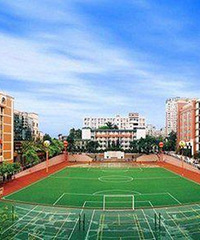 2020年七龙珠25校初中师资分档排名,最顶尖的初中是这8所