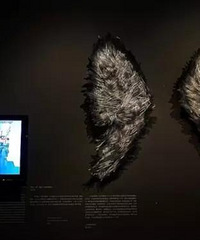 熊孩子又闯祸!上海一博物馆玻璃展品被损坏