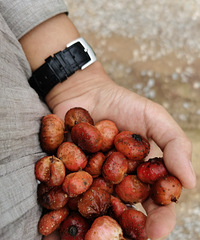 ҪǮҰعϣժţξӺҰʺϴˣ