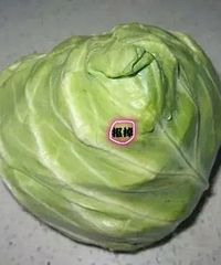 堵奶之后到底该如何冷敷热敷啊?