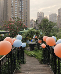 ����ʳ��Ŀ���ֵĻ�԰����꣬ζ������������