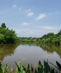 ���پ������ɽ��������԰