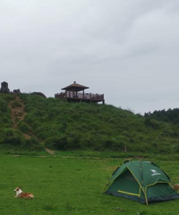 关于露营小白的干货:从选地点到装备到安全,全部get