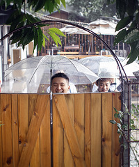 ����������˺ܴ���꣬���ǲ�û����Ӱ�죬������Ҳ���˺ö���Ƭ