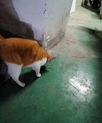 ���������ֻè���������Ը����˳�������ٰ������Ѿ�����