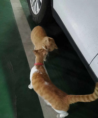 ���������ֻè���������Ը����˳�������ٰ������Ѿ�����