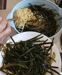 Ŵ����ͷ����������������Ѿ�������������