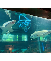 һ�����ü������������ͣ�һ�߻������蹲��