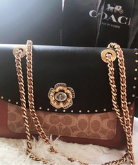 ������coachɽ�軨