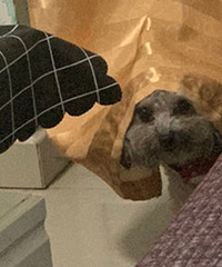 �����ӵ�ʱ���ܾ�����˭�ڿ��ң�תͷһ������ֻɵ���ڶ���