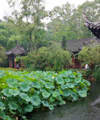 ���������ܵ����ն��¹���ŵ�԰�ֺ����������óԣ��ʺ�ˣ��ĩ