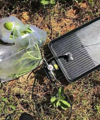 �����ѳ���Ұ�ͣ��Ҹ��������ȴ����Ĺ�Ѫ��ͷ��̫����