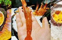 ������������ֺóԣ����������ʵĺ����ʳ���Ȧ��