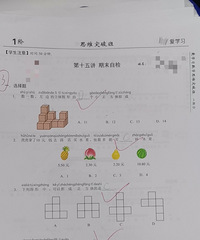 一年的小学生活让我变得不再淡定,暑假抓紧让娃学编程、奥数