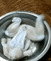 ��Щʳ�ﶼ�ɾ��ˣ�ֻ����һ���˾����������ǵ���