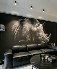 Ǳˮϰˣӵֵ̫Ҿϲˣ