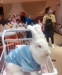 �����Ʒ����Ů����������Ȼ���Ժ���������